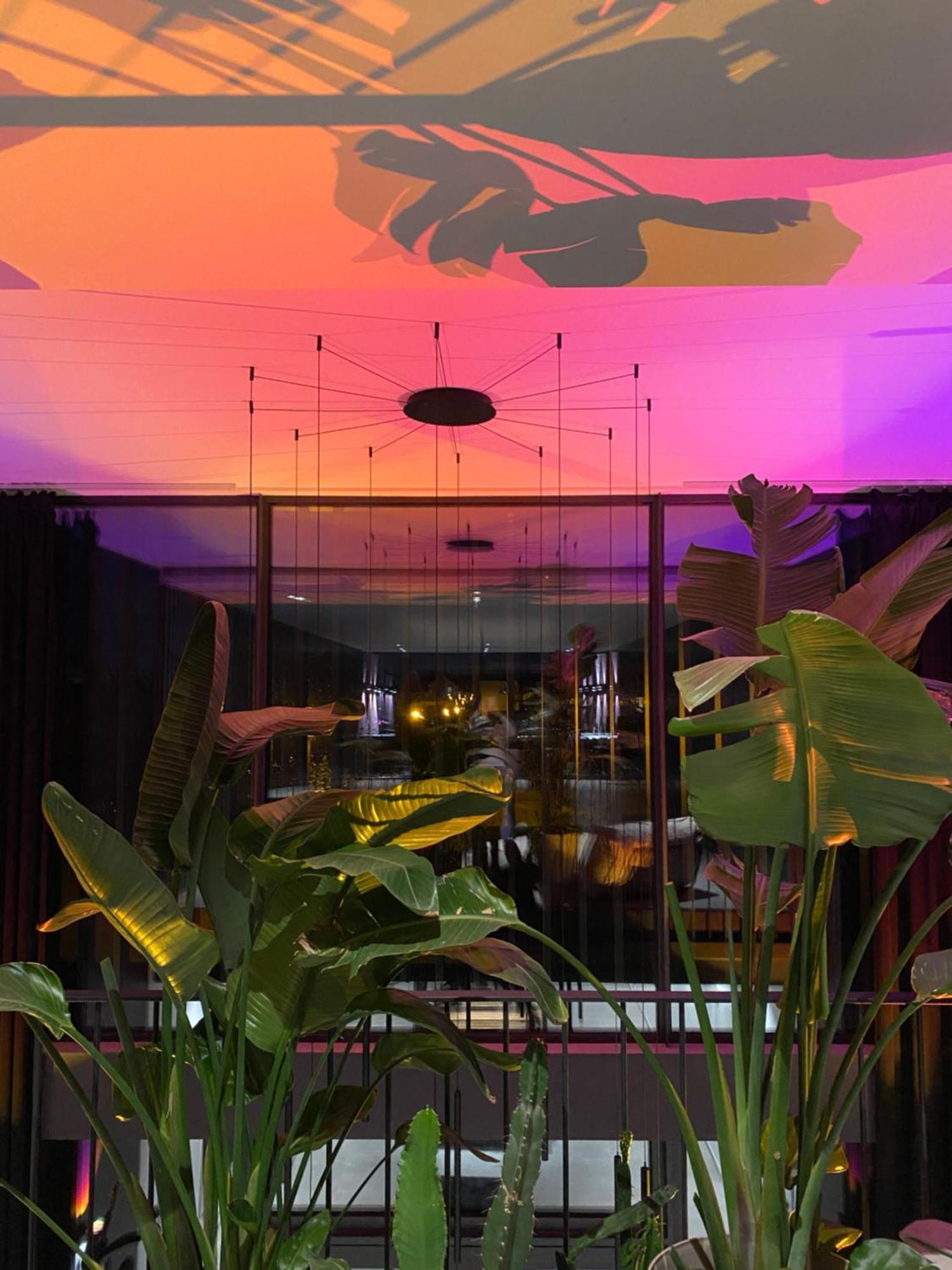 Exklusive Design Appartement Palm Paradise Neubau Pfungstadt Exteriör bild